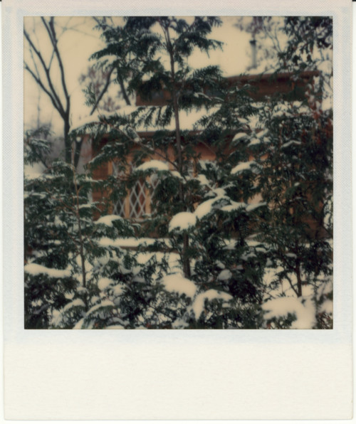 Vintage Polaroid SX-70, 1976.