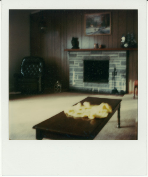 Vintage Polaroid SX-70, 1979.