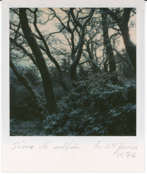 Vintage Polaroid SX-70, 1976.