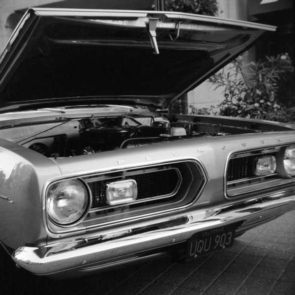Ottawa, Ricohflex Model VI, Ilford HP5 Plus film, 2013.