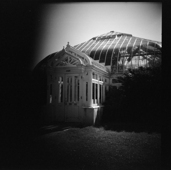 Woca medium format toy camera, Kodak 400TX, circa 2001.