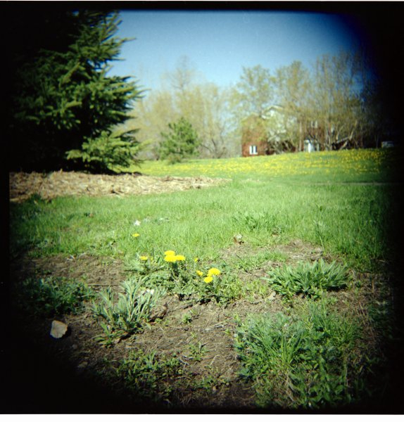 Woca medium format toy camera, Kodak Portra 160NC, circa 2001.