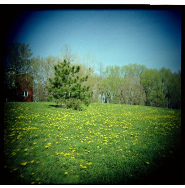 Woca medium format toy camera, Kodak Portra 160NC, circa 2001.