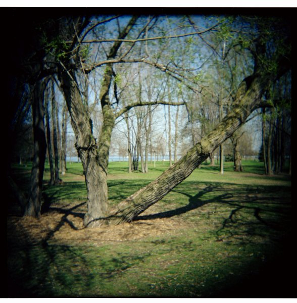 Woca medium format toy camera, Kodak Portra 160NC, circa 2001.
