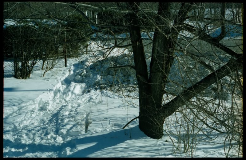 Zeiss Ikon Contaflex IV, Kodak Gold 200, Ottawa (Canada), 2002
