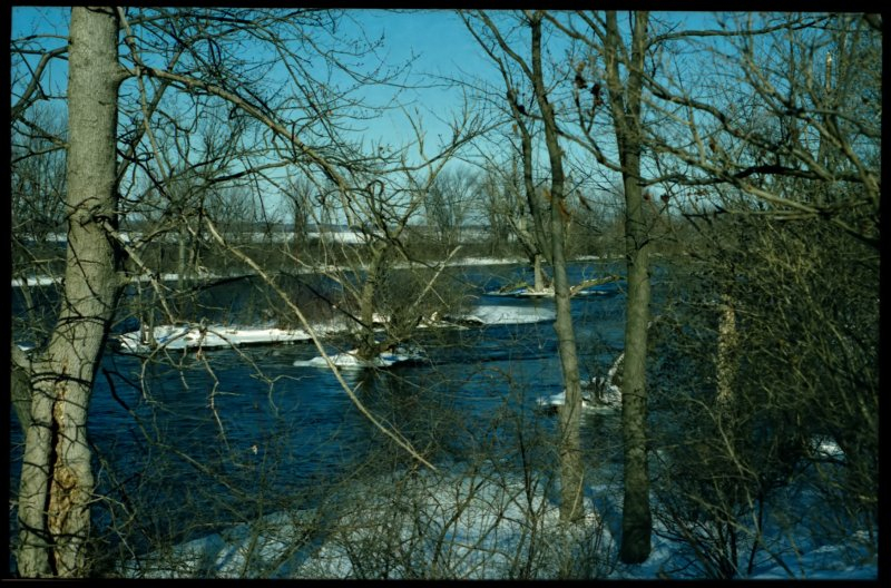 Zeiss Ikon Contaflex IV, Kodak Gold 200, Ottawa (Canada), 2002