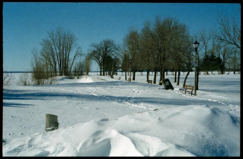 Zeiss Ikon Contaflex IV, Kodak Gold 200, Ottawa (Canada), 2002