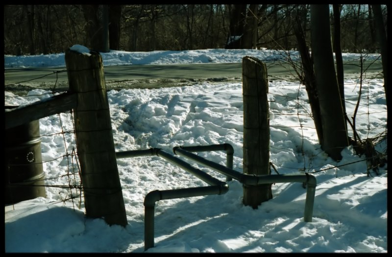 Zeiss Ikon Contaflex IV, Kodak Gold 200, Ottawa (Canada), 2002